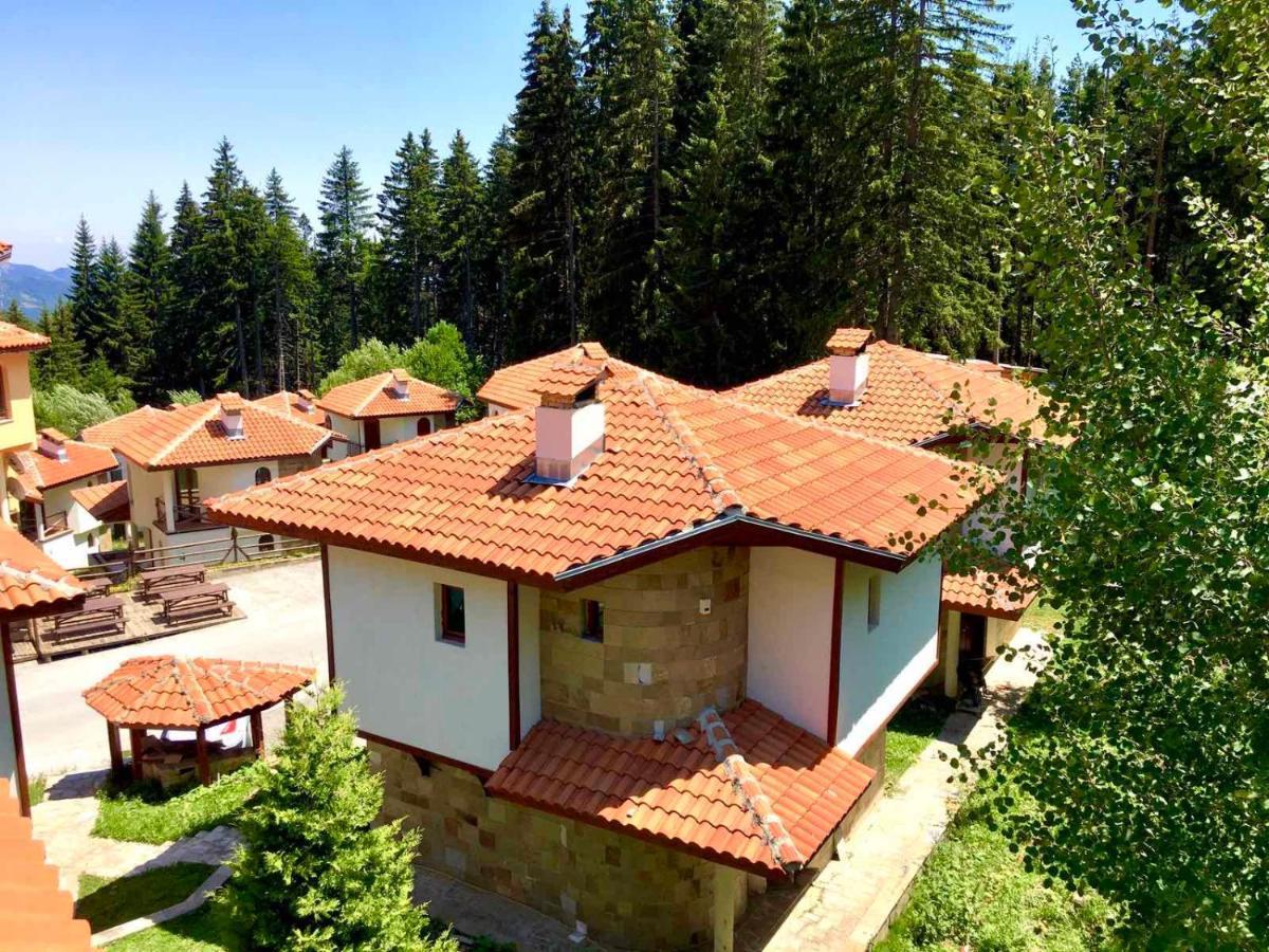 Pamporovo Villa ภายนอก รูปภาพ